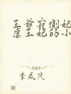 王爷宠侧妃王妃虐王妃的小说