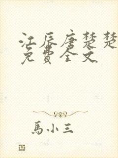 江辰唐楚楚龙帅免费全文封面