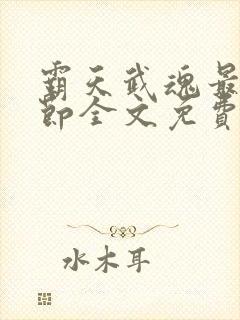 霸天武魂最新章节全文免费阅读