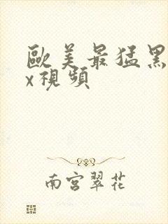 欧美最猛黑人xx视频