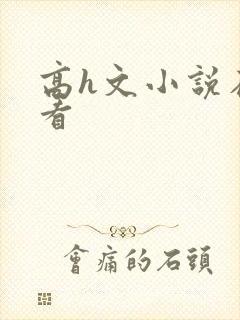 高h文小说在线看