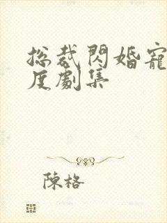 总裁闪婚宠妻无度剧集