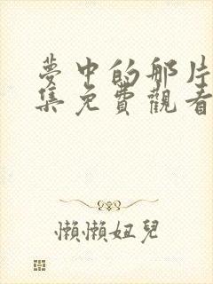 梦中的那片海全集免费观看封面