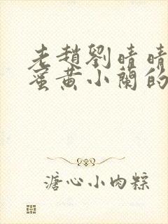 老赵刘晴晴和闺蜜黄小兰的小说沉鱼