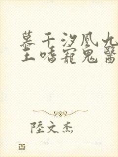 慕千汐凰九夜邪王嗜宠鬼医狂妃封面