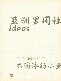 亚洲男同性恋videos