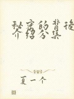 秘密的背后剧情介绍分集