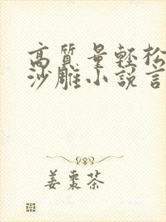 高质量轻松爆笑沙雕小说言情封面