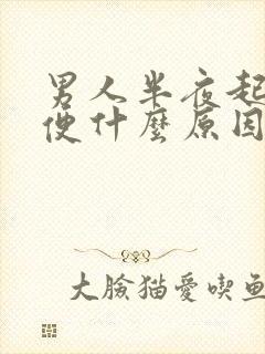 男人半夜起床小便什么原因封面