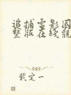 追捕电影国语完整版在线观看免费封面