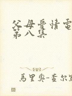 父母爱情电视剧第八集封面