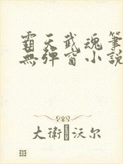 霸天武魂笔趣阁无弹窗小说