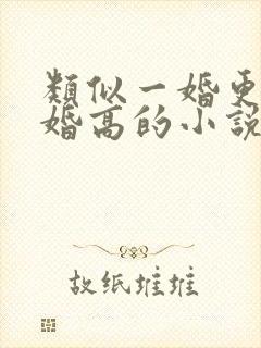 类似一婚更比一婚高的小说