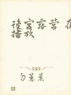 后宫露营 在线播放