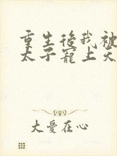 重生后我被黑化太子宠上天