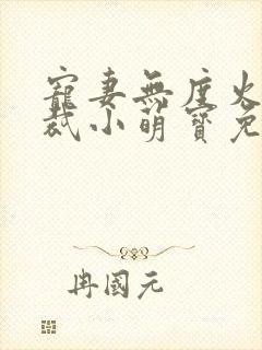 宠妻无度火爆总裁小萌宝免费