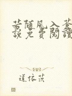 若随风入苍穹小说免费阅读无弹窗