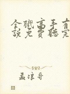 全职高手有声小说免费听完整版封面