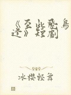 《至此飞鸟不相逢》短剧封面