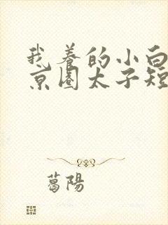 我养的小白脸是京圈太子短剧