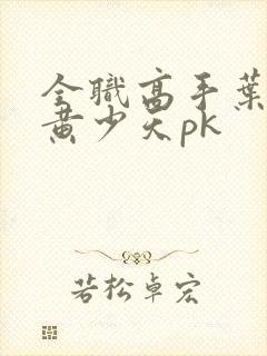 全职高手叶修和黄少天pk