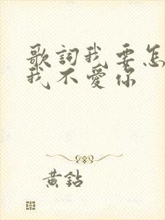 歌词我要怎么说我不爱你