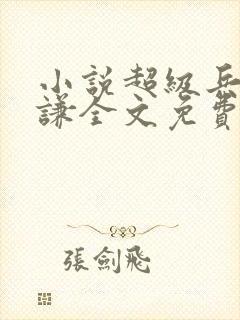 小说超级兵王叶谦全文免费阅读