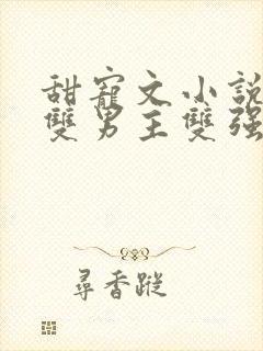 甜宠文小说推荐双男主双强封面