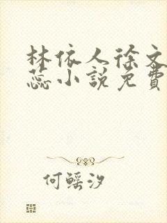 林依人徐文东黄蕊小说免费阅读封面