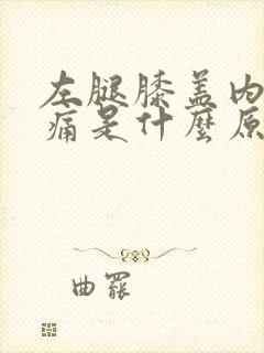 左腿膝盖内侧疼痛是什么原因引起的