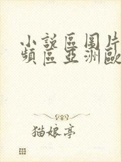 小说区图片区视频区亚洲欧美