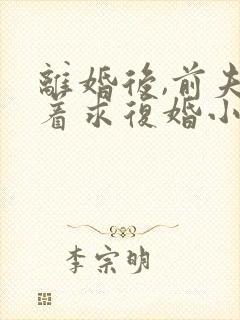 离婚后,前夫哭着求复婚小说全文在线阅读封面