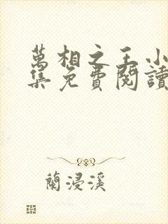 万相之王小说全集免费阅读