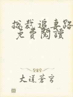 总裁追妻路漫漫 免费阅读