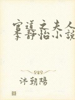 官道之夫人林皓李静怡小说