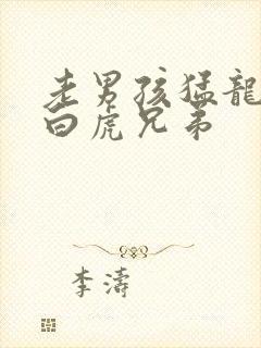 老男孩猛龙过江白虎兄弟封面