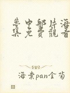 梦中那片海46集免费观看完整版