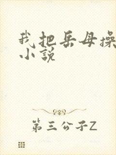 我把岳母操了的小说