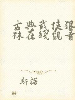 古典武侠狠狠丝袜在线观看