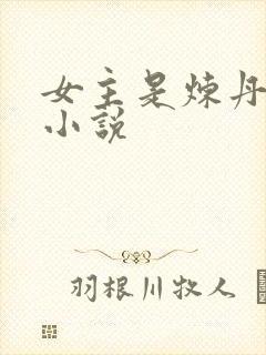 女主是炼丹师的小说