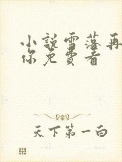 小说雪落再说爱你免费看