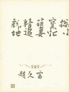 戏精萌宝总裁爹地追妻忙 小说