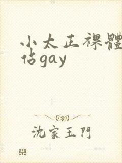 小太正裸体黄网站gay封面