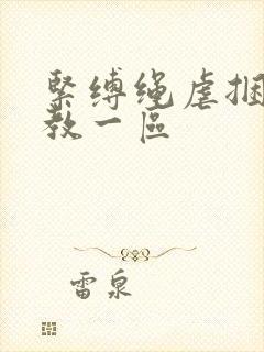 紧缚绳虐捆绑调教一区