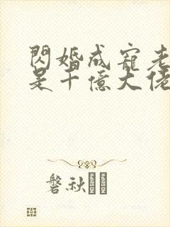 闪婚成宠老公竟是千亿大佬