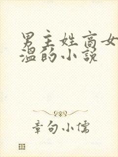 男主姓商女主姓温的小说