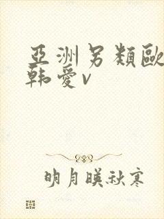 亚洲另类欧美日韩爱v