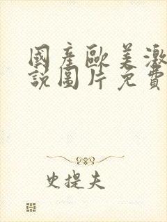 国产欧美激情小说图片免费在线观看