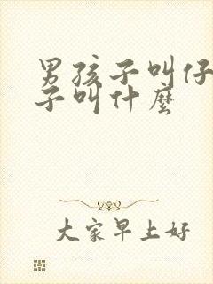 男孩子叫仔女孩子叫什么封面