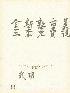 金斯敦市美剧第三季免费观看